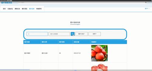 附源碼 springboot圖片銷售系統 計算機畢設 66943